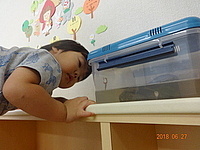 ¤ª¡ª¡¡Â¤¬¤Ï¤¨¤Æ¤ë