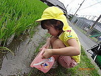 ÅĤó¤ÜÊÖ¤·¤Æ¤·¤Æ¤¢¤²¤ë¡¦¡¦¡¦